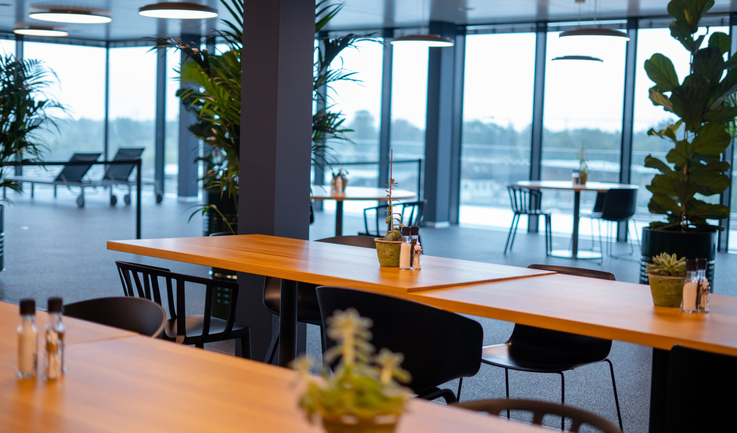 ehGUSTO: Ein Plätzchen ist noch frei